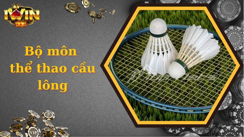 Cá độ cầu lông 